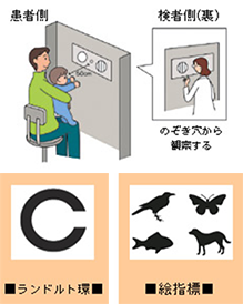 【人気ダウンロード！】 子供 の 視力 検査